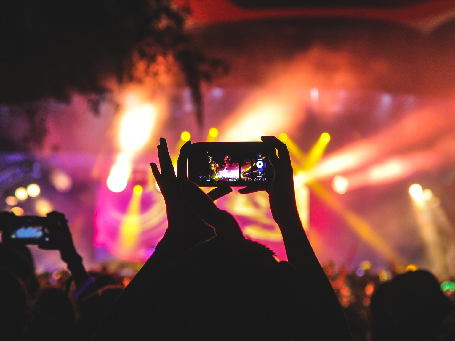 Immagine di un concerto